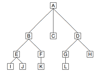 Árvore Genealógica